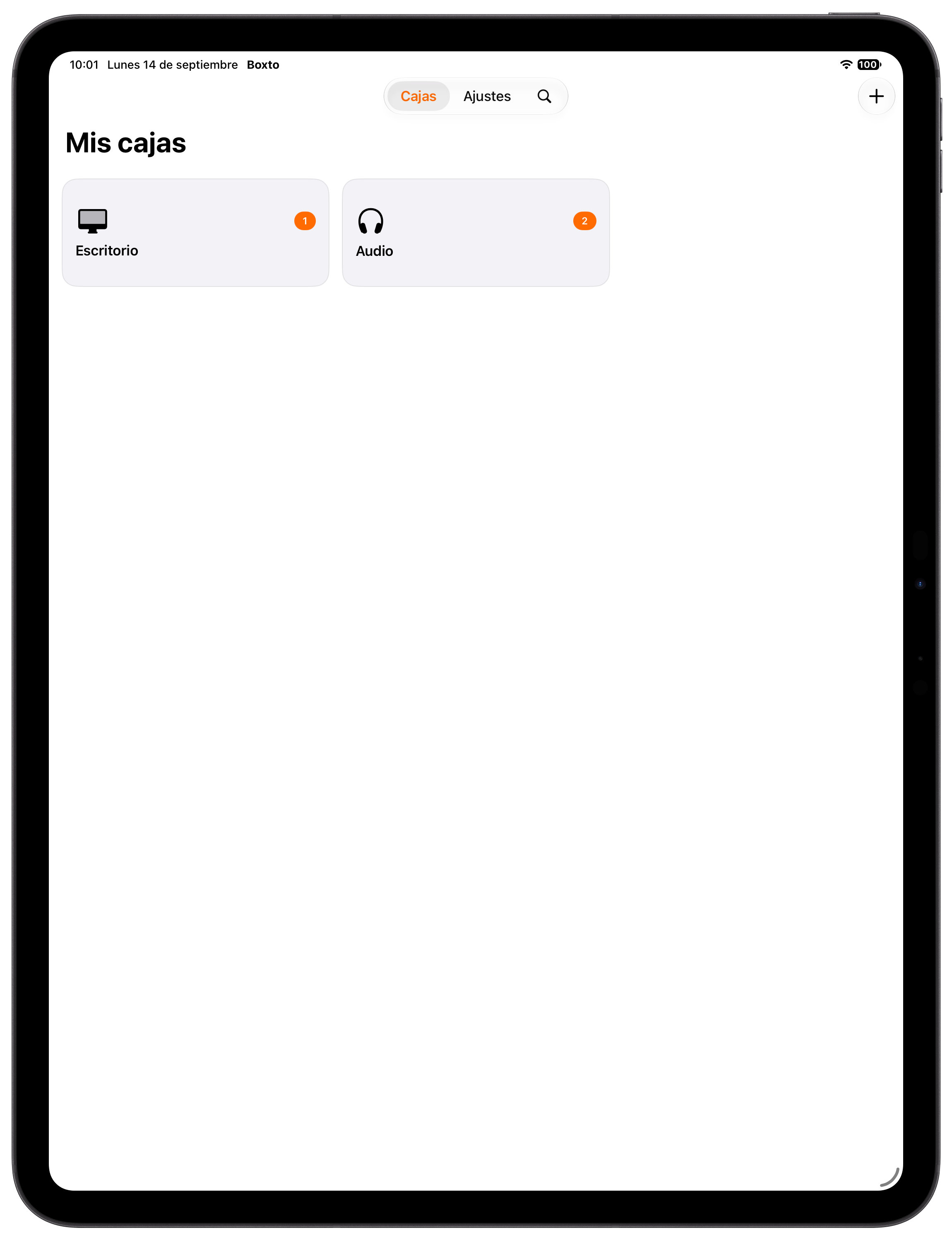 iPad